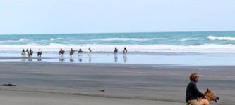 A+romantic+horseback+ride+on+the+beach