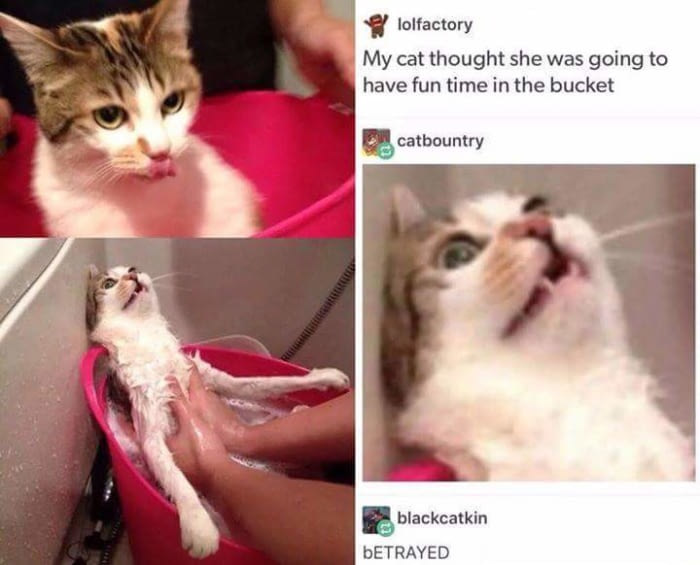 Why+did+you+lie+to+me%3F