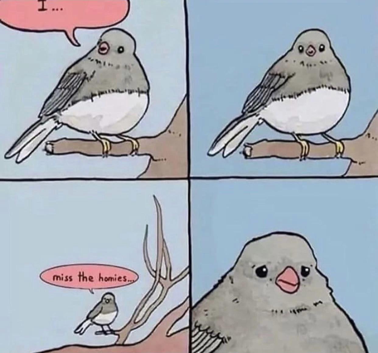 Tweet+on%2C+lil+birb.