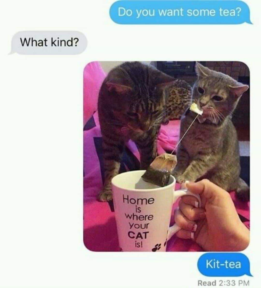 Anybody+else+want+Kit+tea%3F