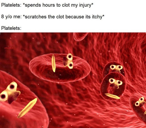 Why+would+you+do+such+a+thing%3F