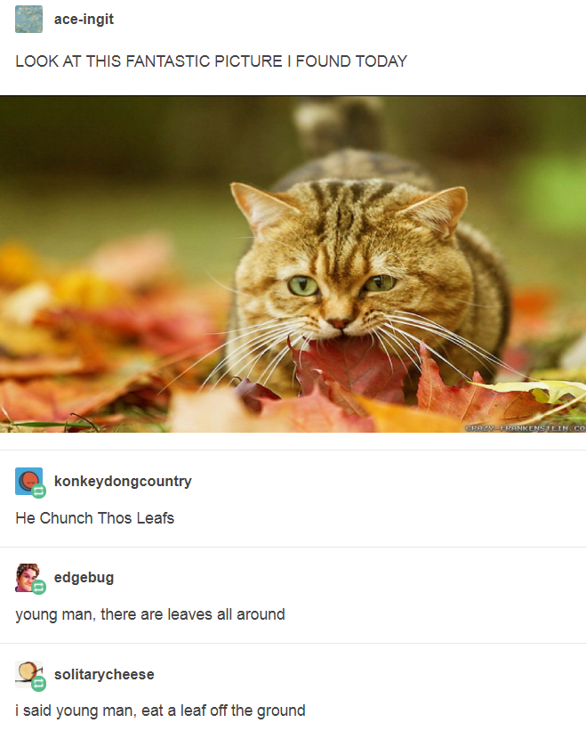 It+CRONCH+the+leaf.
