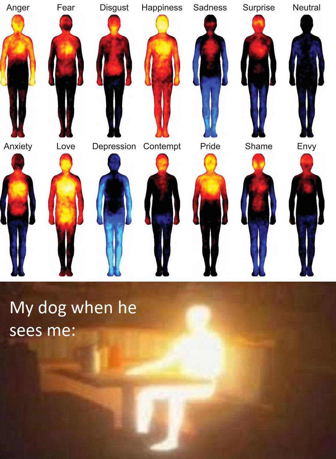 The+feeling+is+mutual.