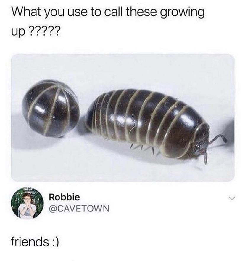 Friendly+round+boys.