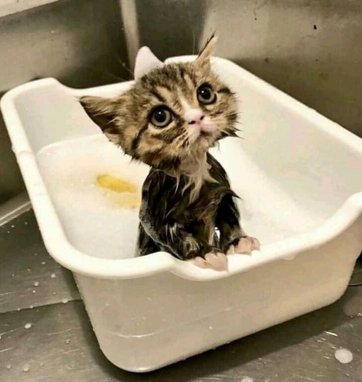 You+have+done+me+a+huge+disservice%2C+sir.