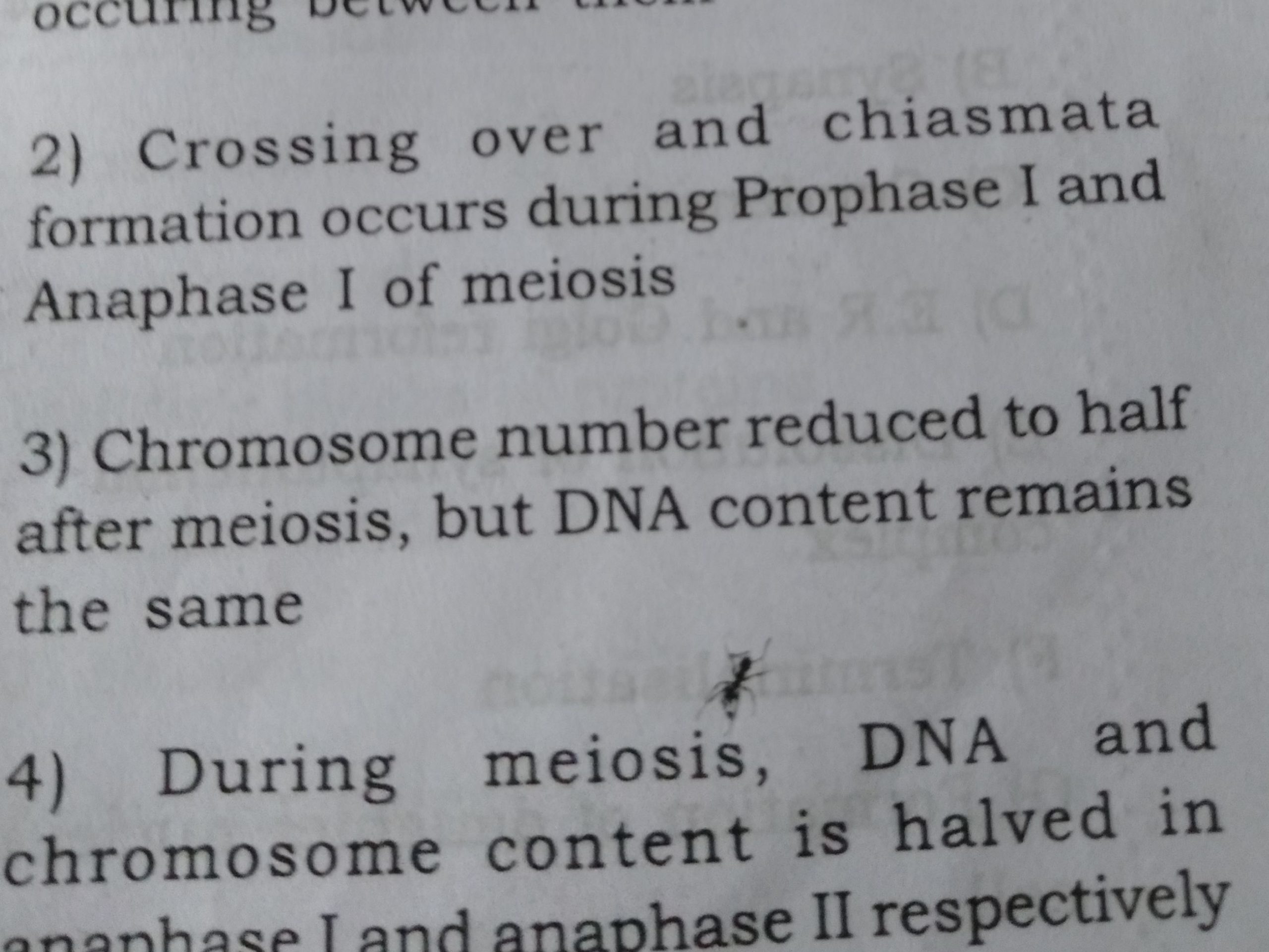 This+ant+is+printed+on+every+single+copy%26%238230%3B+%23antlife