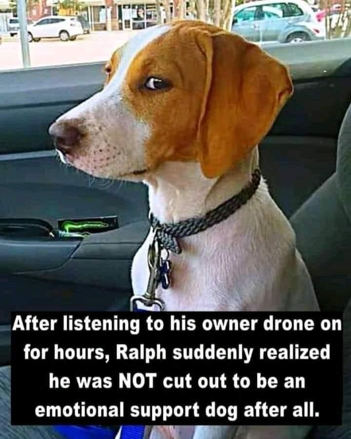 I%26%238217%3Bm+out%2C+bud.+Good+luck.