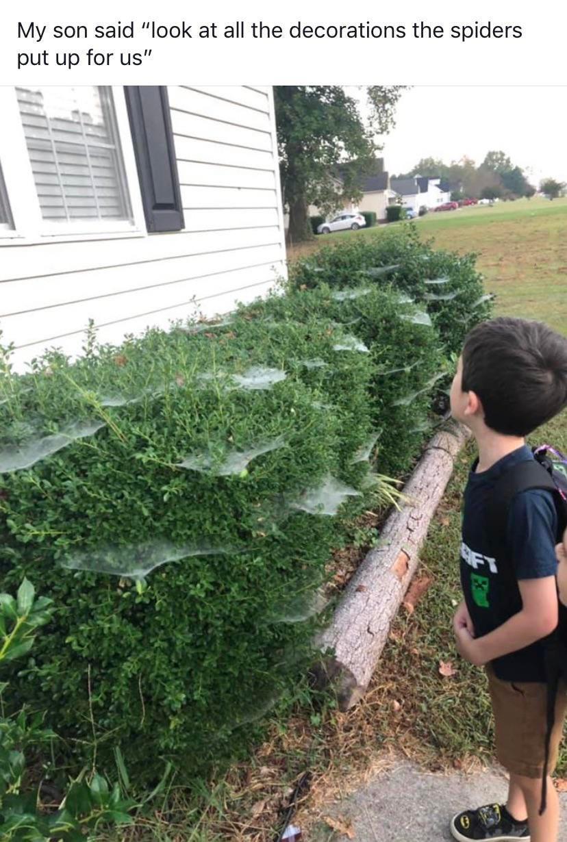 Nature%26%238217%3Bs+decorations.