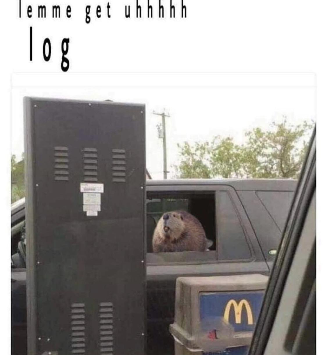 Wood+you+care+for+some+would%3F