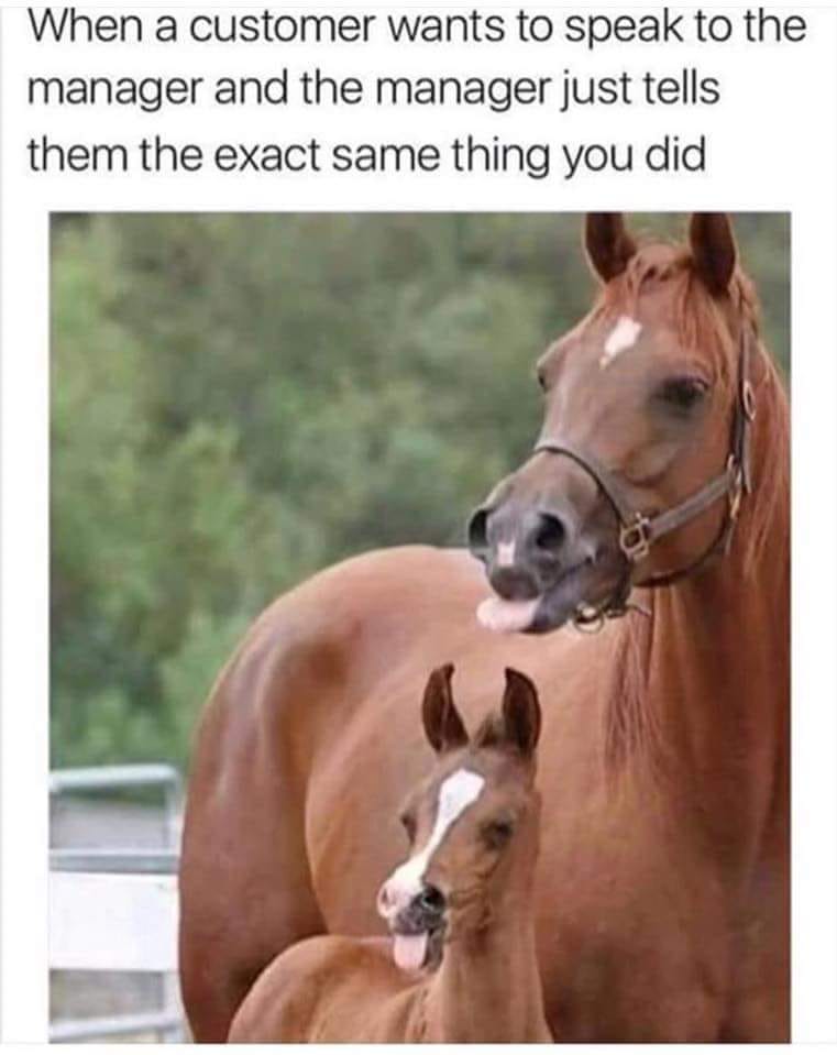 I%26%238217%3Bm+on+it.