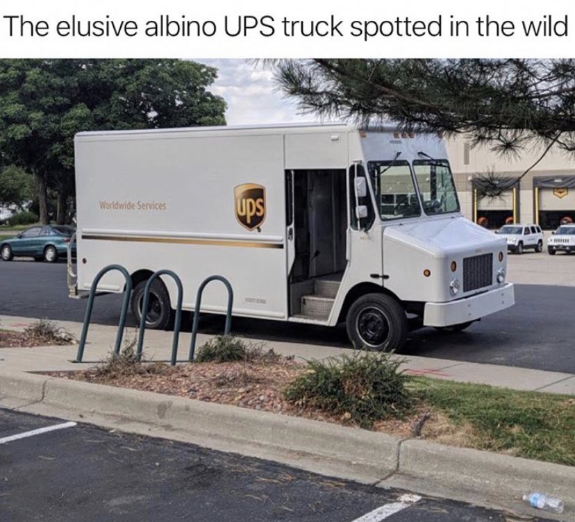 It+belongs+in+a+zoo.