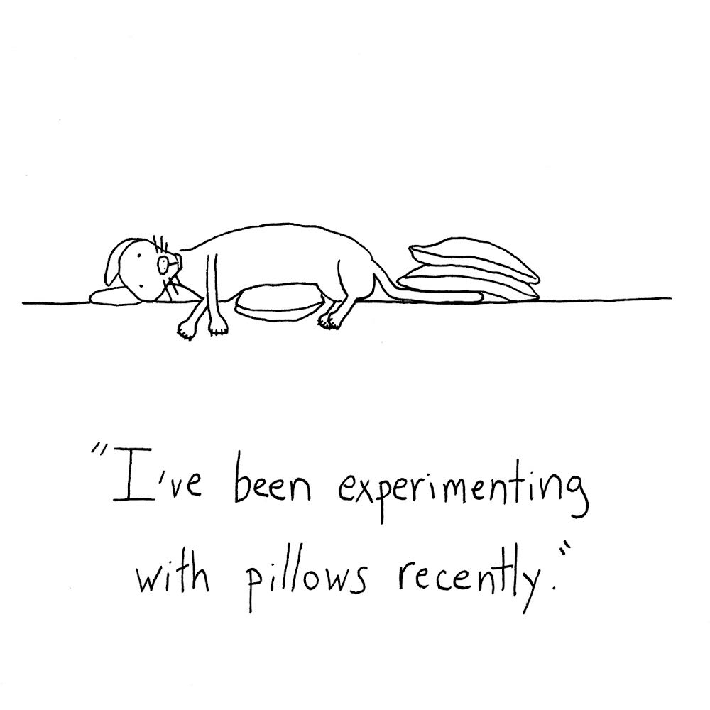Pillows+are+hard.