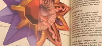 Anatomy+of+a+Pokemon