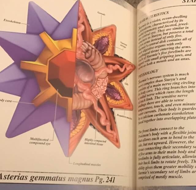 Anatomy+of+a+Pokemon