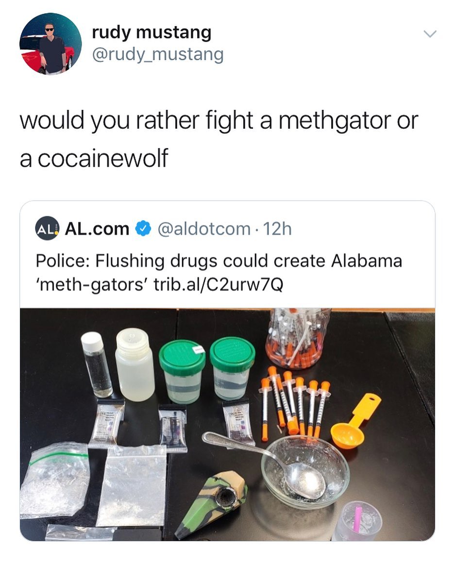 Meth+gators%26%238230%3B