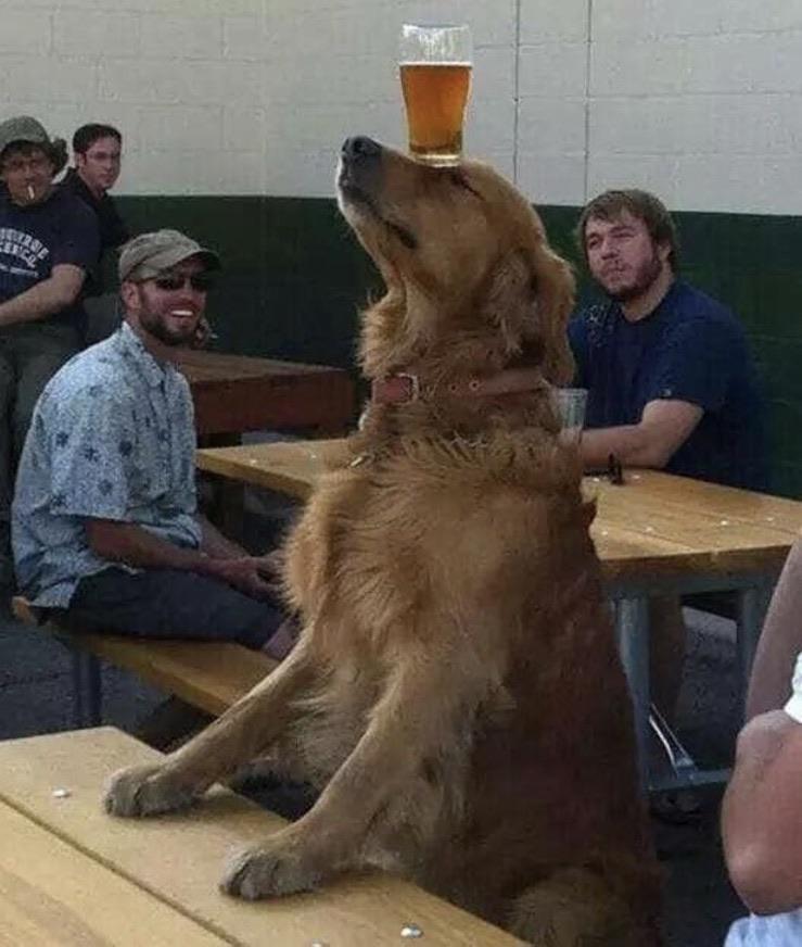 Hold+my+beer%26%238230%3B