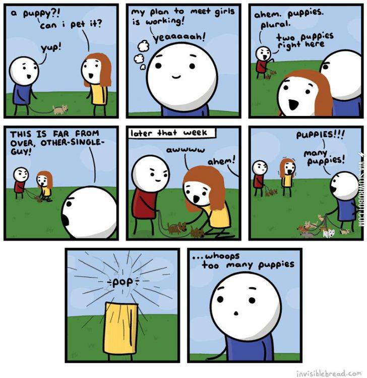 Too+many+puppies%26%238230%3B