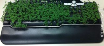 Cha-cha-chia+keyboard.