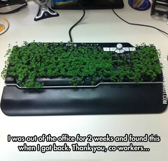 Cha-cha-chia+keyboard.