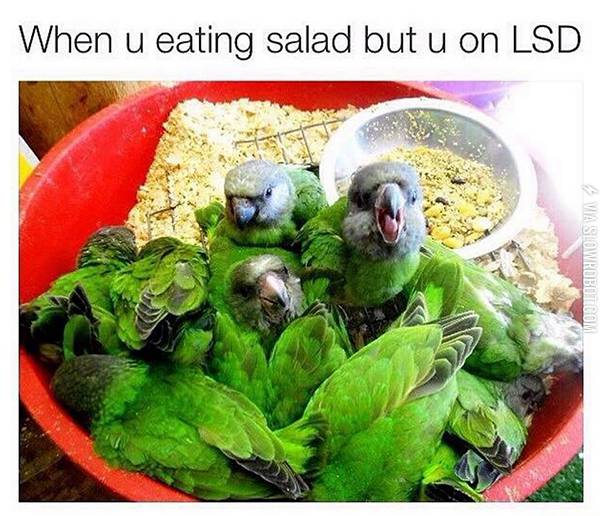 My+food+is+trying+to+eat+me