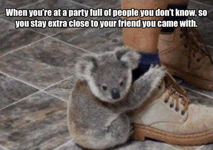 When+you%26%238217%3Bre+at+a+party+full+of+people+you+don%26%238217%3Bt+know%26%238230%3B