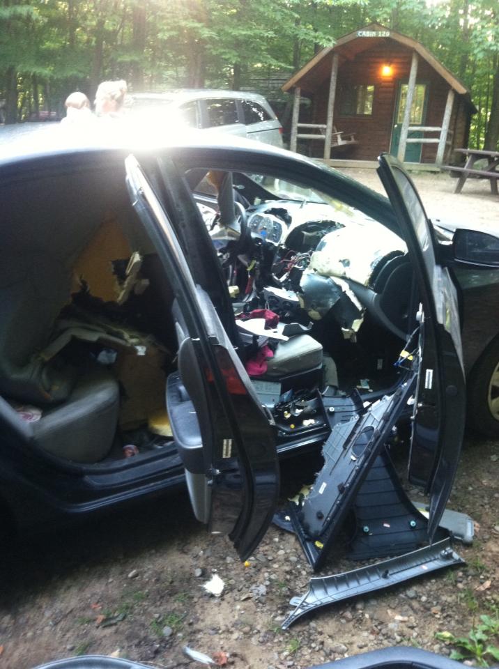 Why+you+don%26%238217%3Bt+leave+food+in+your+car+in+bear+country.