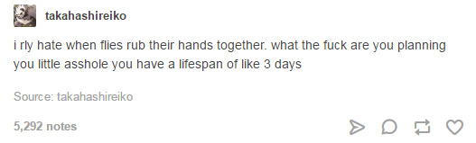 When+flies+rub+their+hands+together