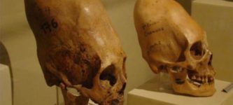 Paracas+skulls%2C+found+in+Peru.