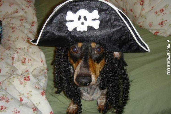 Shiver+me+Milkbones%21