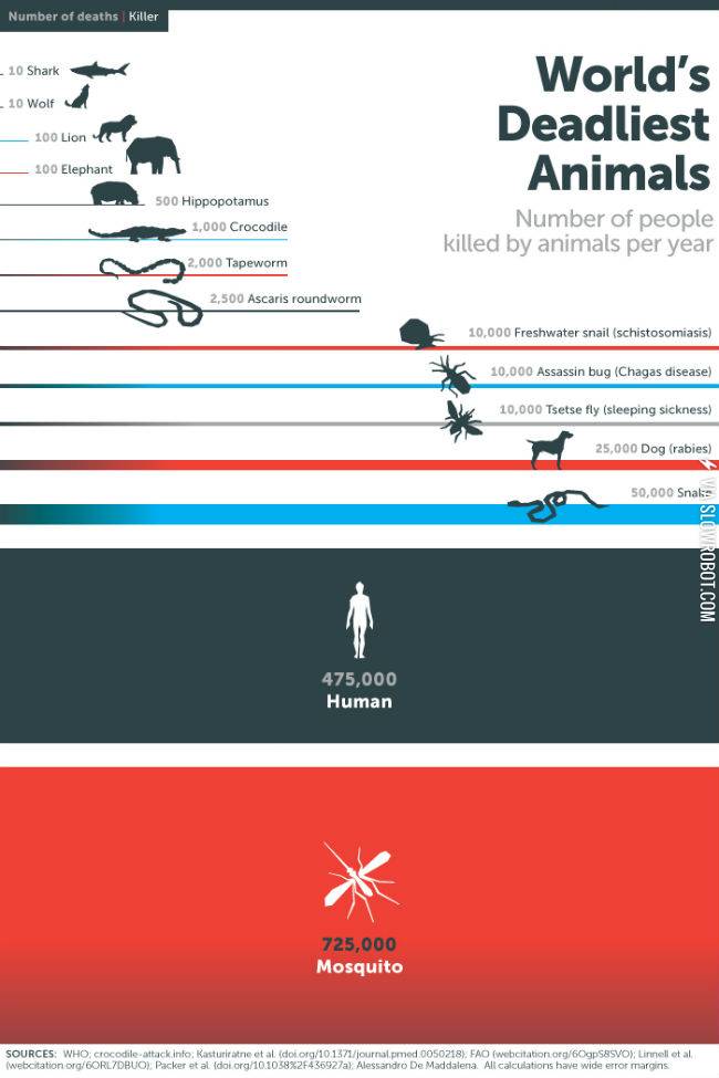 World%26%238217%3Bs+deadliest+animals.