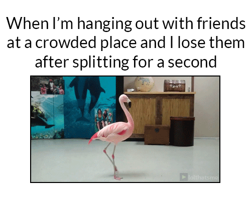 Where+did+you+go%3F+Where+did+you+go%3F+Where+did+you+go%3F%26%238230%3B