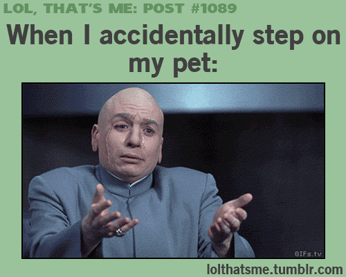 Forgive+me%2C+Fluffy%26%238230%3B