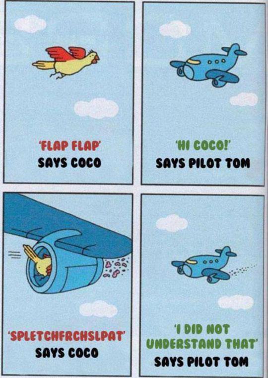 Pilot+Tom