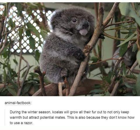 it%26%238217%3Bs+so+fluffy%21