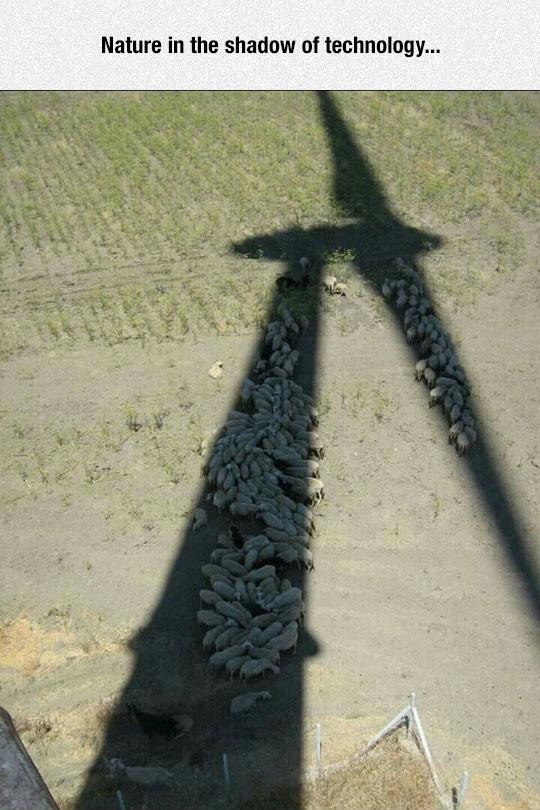 Nature+And+Technology