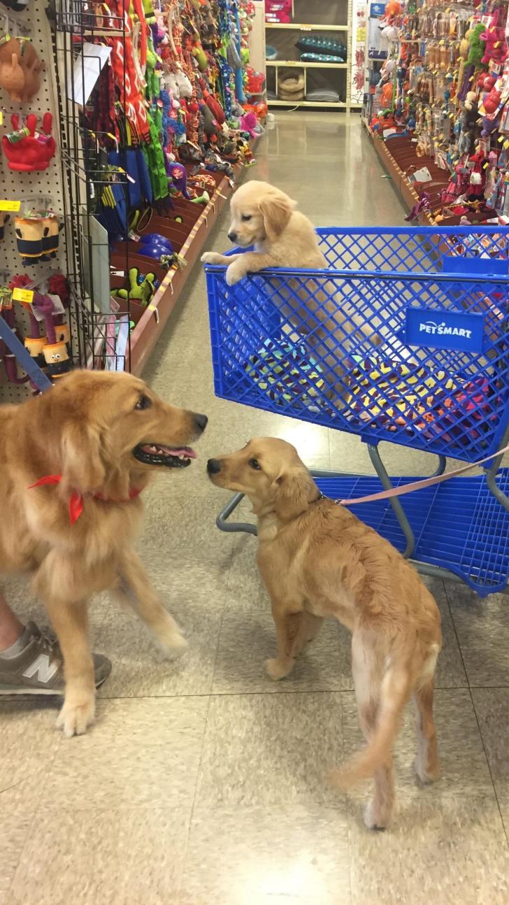 Tall%2C+Grande%2C+Venti