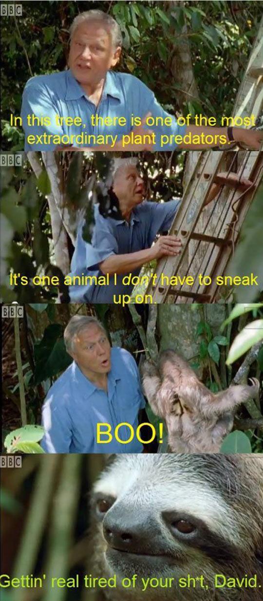 Sloth+has+had+enough+of+you.