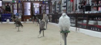 Falcon+Shop+in+Qatar