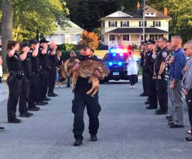 Connecticut+Police+salute+as+Officer+carries+his+partner+to+be+put+down+due+to+cancer