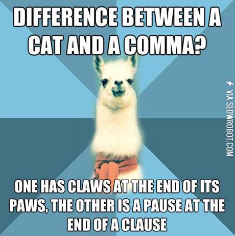Difference+between+a+cat+and+a+comma%3F