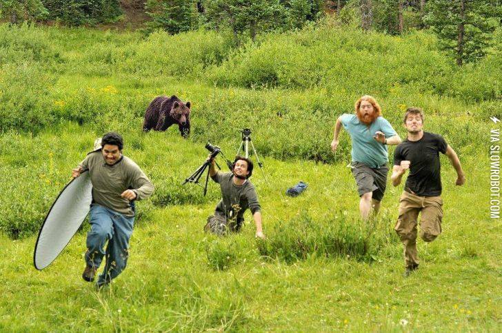 Wildlife+photography+gone+wrong