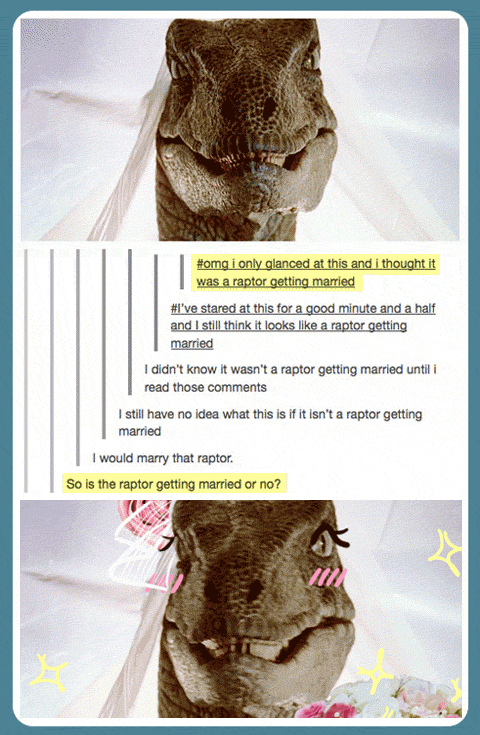 I%26%238217%3Bm+pretty+sure+it%26%238217%3Bs+a+raptor+getting+married%26%238230%3B