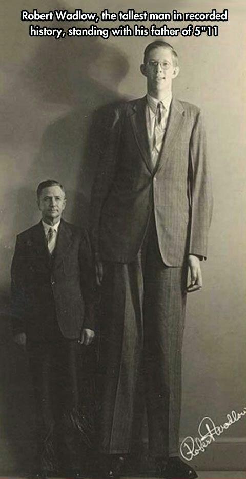 The+tallest+man+ever