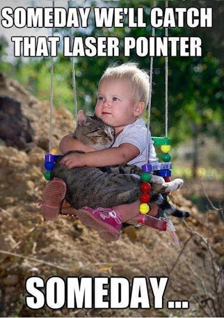 Awww%2C+I+kinda+feel+sorry+for+them