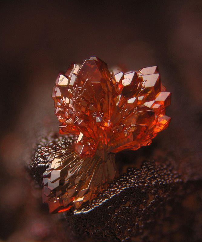 Rare+strengite+mineral