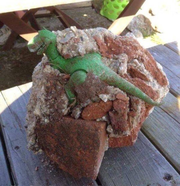 Amazing+fossil+discovery%21