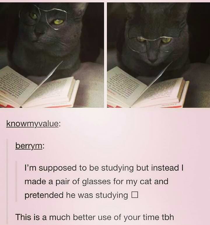 Studying+is+hard.