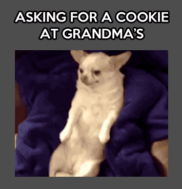 Asking+for+a+cookie+at+grandma%26%238217%3Bs+house.