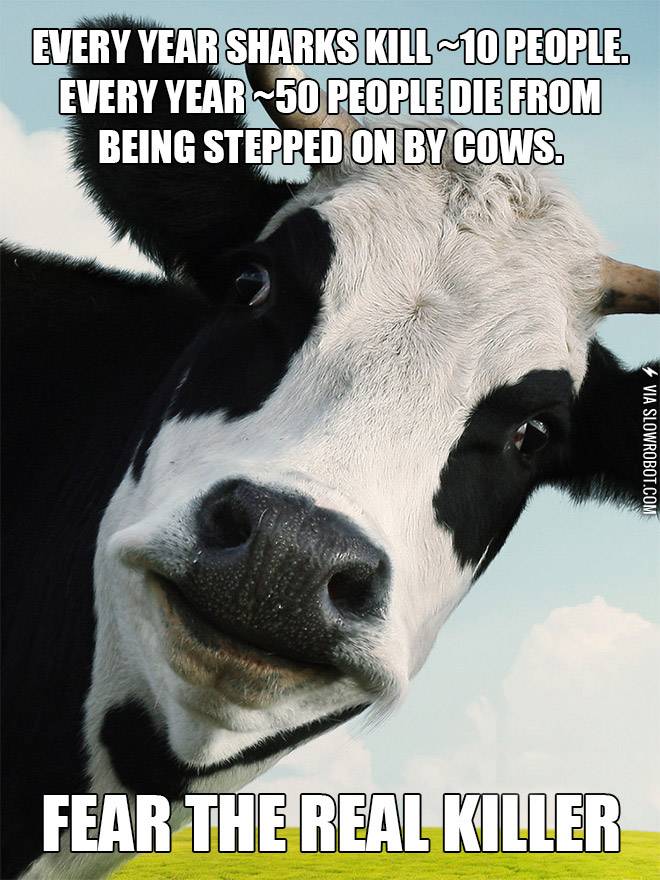 Fear+the+real+killer.