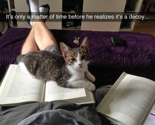 He%26%238217%3Bs+Starting+To+Suspect+Something%26%238217%3Bs+Not+Right